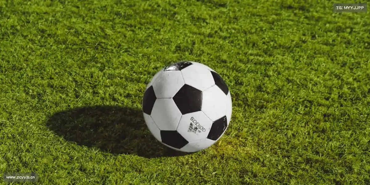 壹号娱乐🚣‍♂️同舟共济，劈波斩浪！体育精神，就是永不独行～